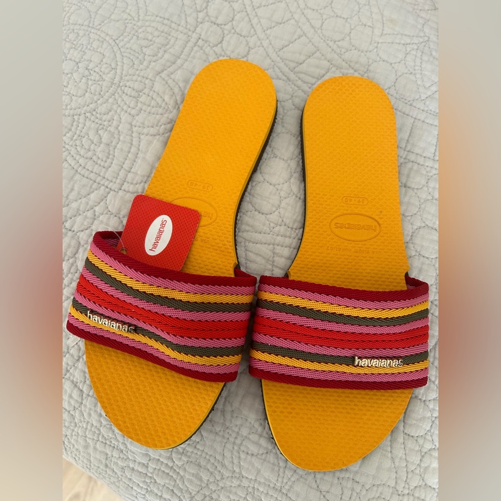 Havaianas Multicolor Striped Slides